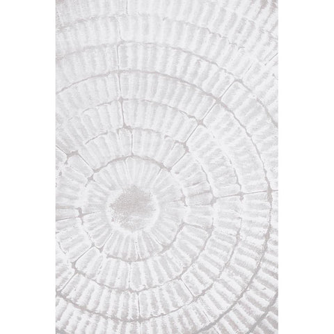 Studio III - Pattern Plate II  Black Modern Wood Framed Art Print with Double Matting by Studio III