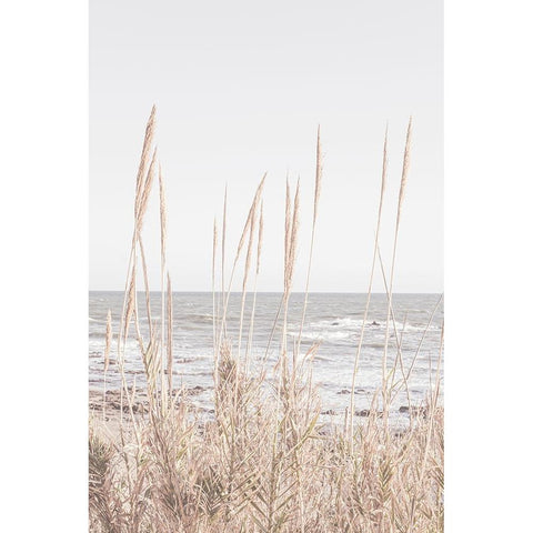 Studio III - Beach Vass 001 Gold Ornate Wood Framed Art Print with Double Matting by Studio III