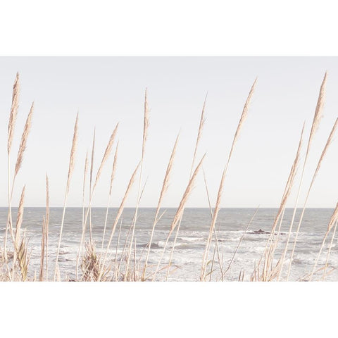 Studio III - Beach Vass 002 Black Modern Wood Framed Art Print by Studio III