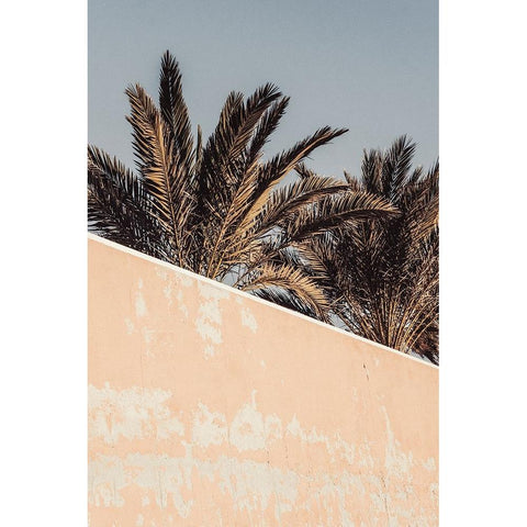 Studio III - Palm  White Modern Wood Framed Art Print by Studio III