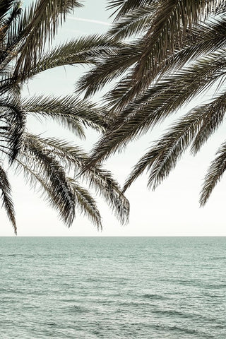 Studio III - Solaris 04 White Modern Wood Framed Art Print with Double Matting by Studio III