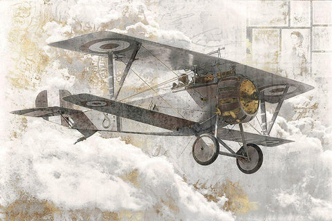 Airplane I  Black Ornate Wood Framed Art Print with Double Matting by Roozbeh