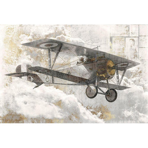 Airplane I  Gold Ornate Wood Framed Art Print with Double Matting by Roozbeh