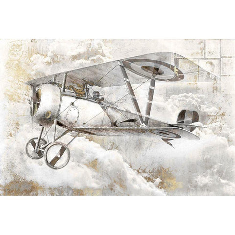 Airplane II White Modern Wood Framed Art Print by Roozbeh