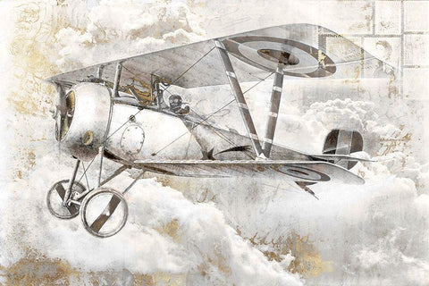 Airplane II Black Ornate Wood Framed Art Print with Double Matting by Roozbeh
