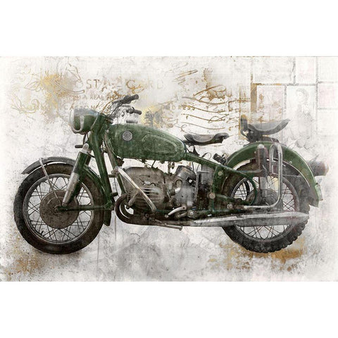 Green MotorcycleÂ  Black Modern Wood Framed Art Print with Double Matting by Roozbeh