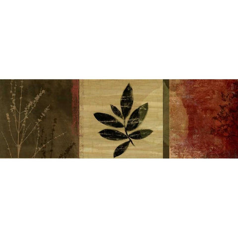 Leaf Impressions II Black Modern Wood Framed Art Print with Double Matting by PI Studio