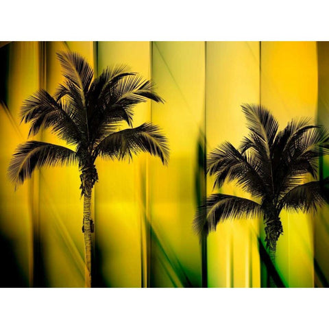 Two Palms Black Modern Wood Framed Art Print with Double Matting by PI Studio