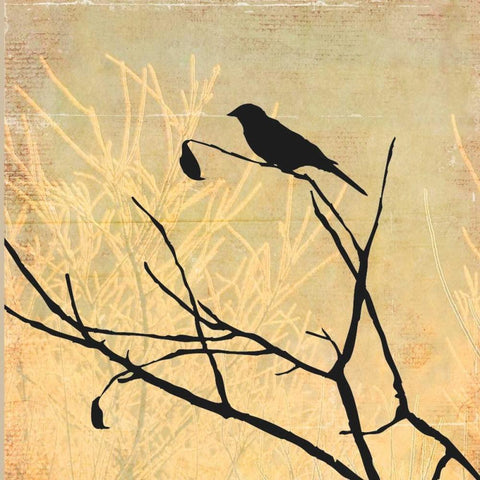 Perched Black Ornate Wood Framed Art Print with Double Matting by PI Studio