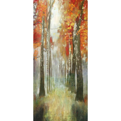 Path of Dreams Black Modern Wood Framed Art Print with Double Matting by PI Studio