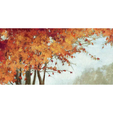 Fall Canopy I Black Modern Wood Framed Art Print with Double Matting by PI Studio