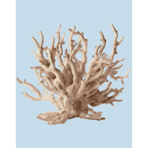 Coral II White Modern Wood Framed Art Print by PI Studio