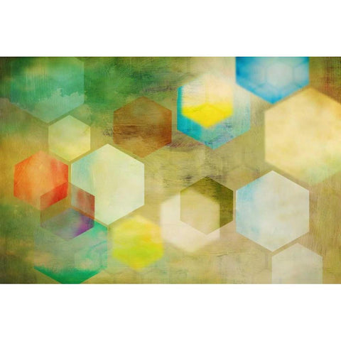 Honeycomb II Black Modern Wood Framed Art Print with Double Matting by PI Studio