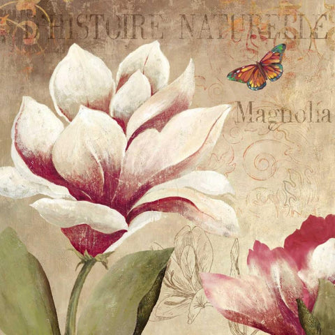 Magnolia Black Ornate Wood Framed Art Print with Double Matting by PI Studio