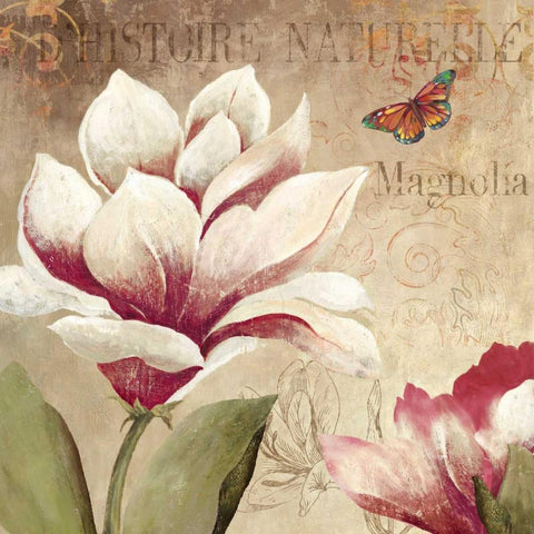 Magnolia White Modern Wood Framed Art Print with Double Matting by PI Studio
