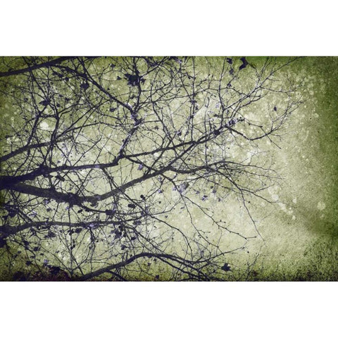 Atmospheric II White Modern Wood Framed Art Print by PI Studio