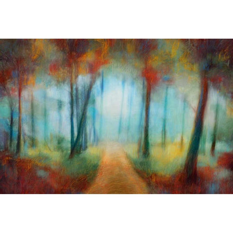 Through the Trees Black Modern Wood Framed Art Print with Double Matting by PI Studio