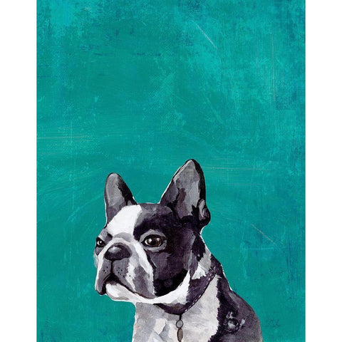 Frenchie Puppy  White Modern Wood Framed Art Print by PI Studio