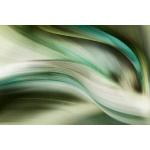 Spring Air Black Modern Wood Framed Art Print by PI Galerie