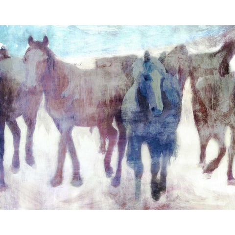 Calgary Stampede Black Modern Wood Framed Art Print by PI Galerie