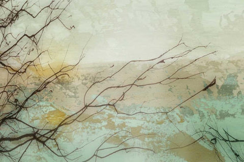 Branches I Black Ornate Wood Framed Art Print with Double Matting by PI Galerie