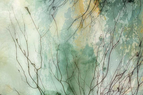 Branches II White Modern Wood Framed Art Print with Double Matting by PI Galerie