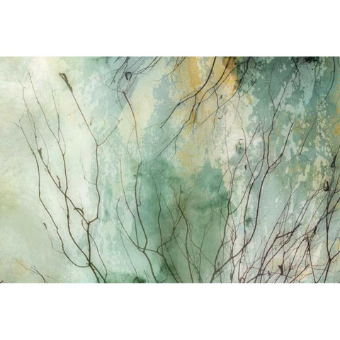 Branches II Black Modern Wood Framed Art Print by PI Galerie