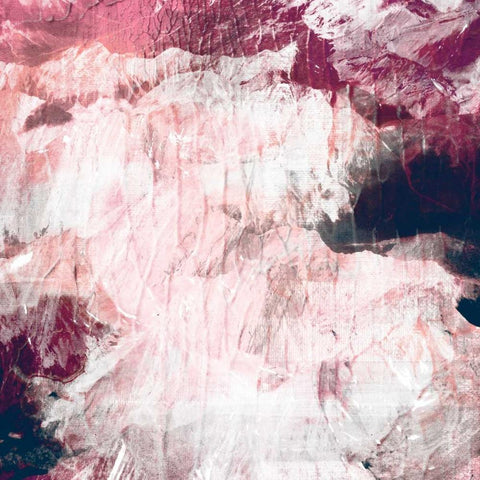 Abstract Roses Black Ornate Wood Framed Art Print with Double Matting by PI Galerie
