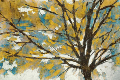 Soleil  White Modern Wood Framed Art Print with Double Matting by PI Galerie