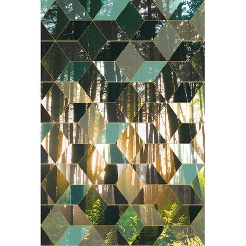 Kaleidescope Visions IV Gold Ornate Wood Framed Art Print with Double Matting by PI Galerie