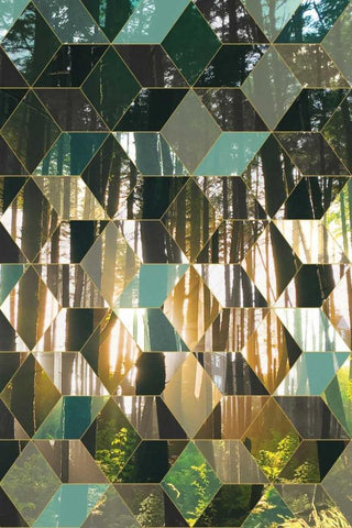 Kaleidescope Visions IV Black Ornate Wood Framed Art Print with Double Matting by PI Galerie