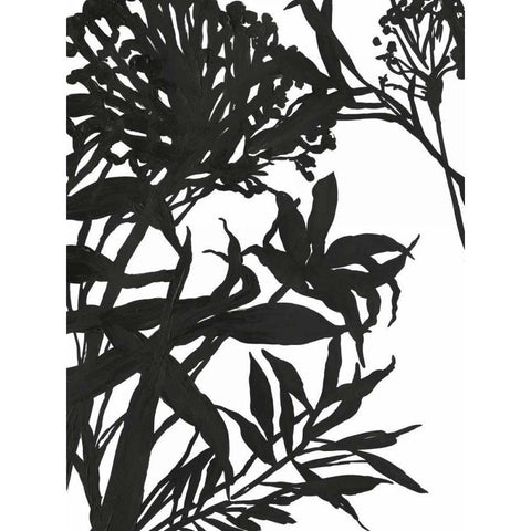 Monochrome Foliage I Black Modern Wood Framed Art Print with Double Matting by PI Studio