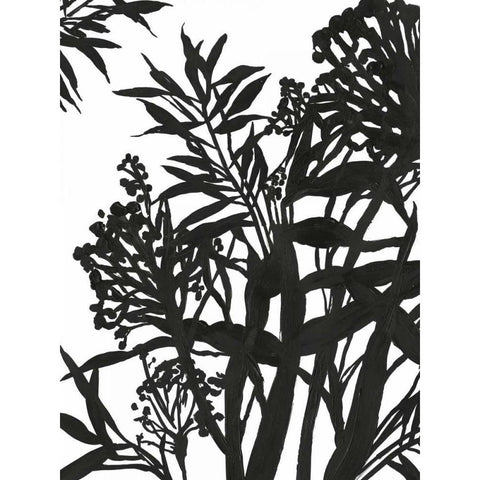 Monochrome Foliage II Black Modern Wood Framed Art Print with Double Matting by PI Studio