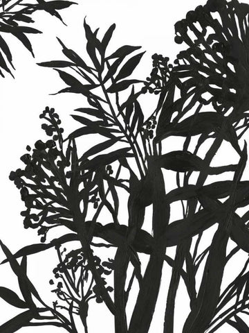 Monochrome Foliage II Black Ornate Wood Framed Art Print with Double Matting by PI Studio