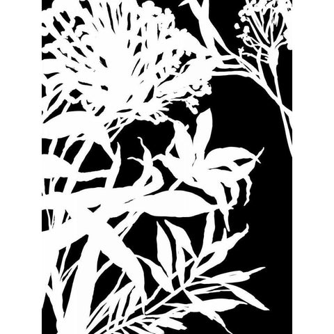 Monochrome Foliage III Black Modern Wood Framed Art Print by PI Studio