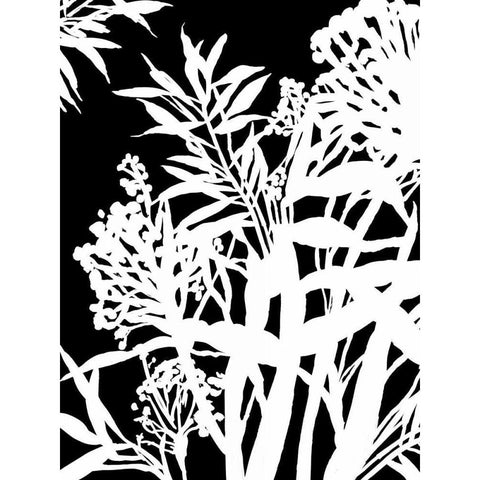 Monochrome Foliage IV Black Modern Wood Framed Art Print with Double Matting by PI Studio