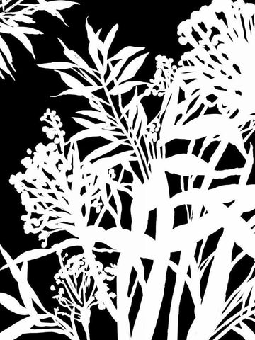 Monochrome Foliage IV Black Ornate Wood Framed Art Print with Double Matting by PI Studio
