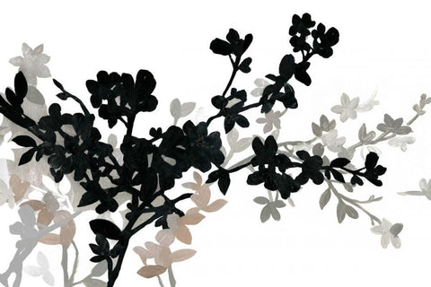 Apple Bloom I Black Ornate Wood Framed Art Print with Double Matting by PI Studio
