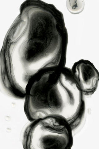 Neutral Blobs I Black Ornate Wood Framed Art Print with Double Matting by PI Studio