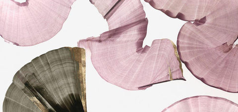 Silk Streams II White Modern Wood Framed Art Print with Double Matting by PI Studio