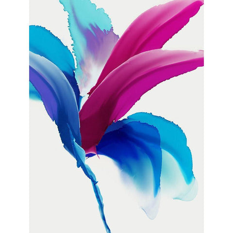 Magenta Bird of Paradise  Black Modern Wood Framed Art Print with Double Matting by PI Studio