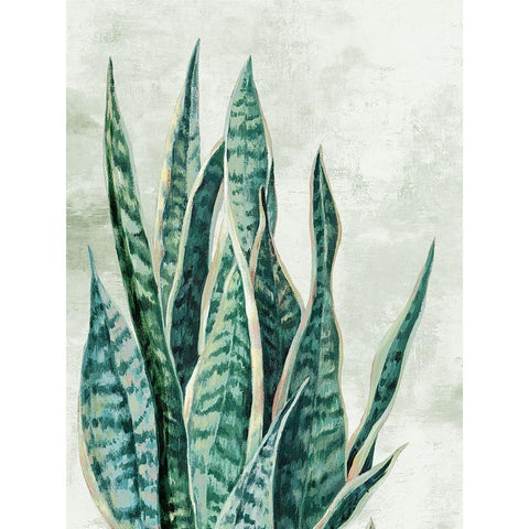 Reaching Snake Plant Black Modern Wood Framed Art Print with Double Matting by PI Studio