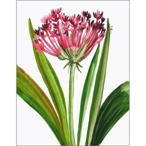 Blooming Pink Black Modern Wood Framed Art Print with Double Matting by Pi Studio