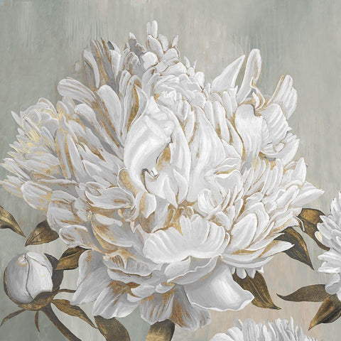 Cecilia II  White Modern Wood Framed Art Print with Double Matting by Duchesne, Penelope