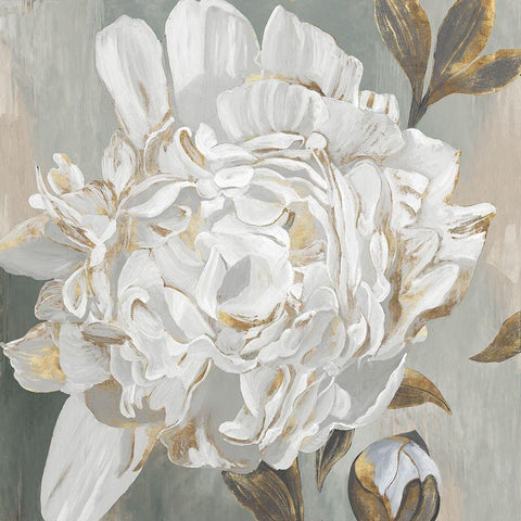 White Foliole Black Ornate Wood Framed Art Print with Double Matting by Duchesne, Penelope