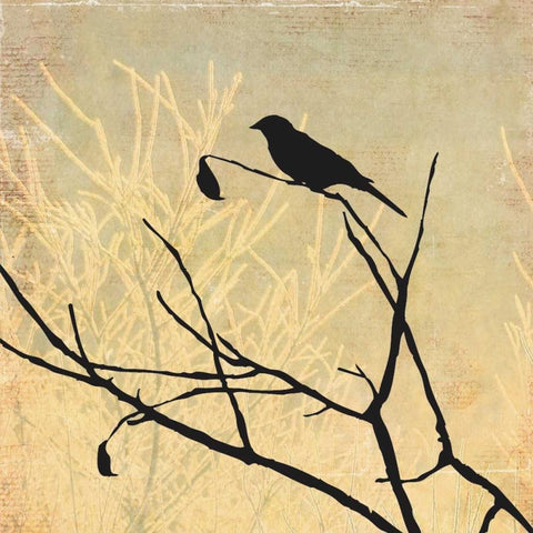 Perched Black Modern Wood Framed Art Print with Double Matting by Pearce, Allison