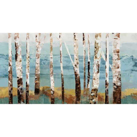 Birch Reflection Black Modern Wood Framed Art Print with Double Matting by Pearce, Allison