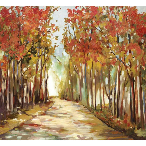 Sunny Path White Modern Wood Framed Art Print by Pearce, Allison