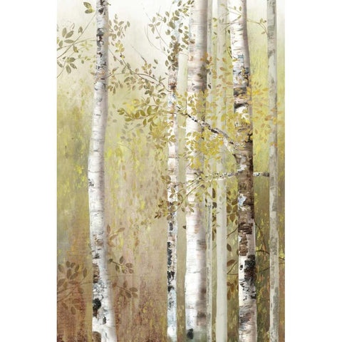 Serenity Birch Black Modern Wood Framed Art Print with Double Matting by Pearce, Allison