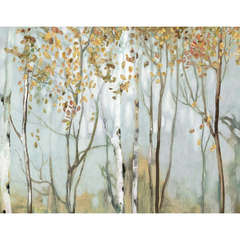 Birch in the fog II White Modern Wood Framed Art Print by Pearce, Allison